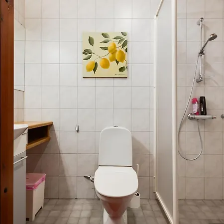 Apartamento Alppitaehtikeskus A2 Visit Levi